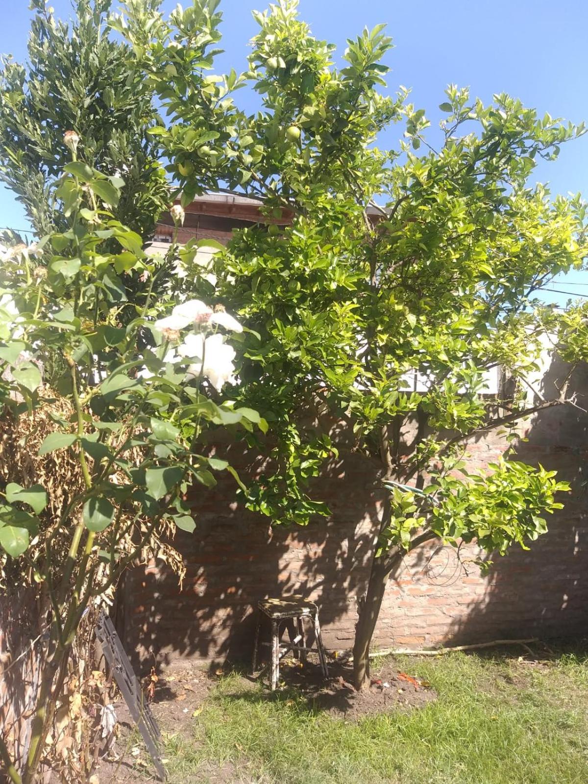 Casa 3 ambientes para 6 personas céntrica