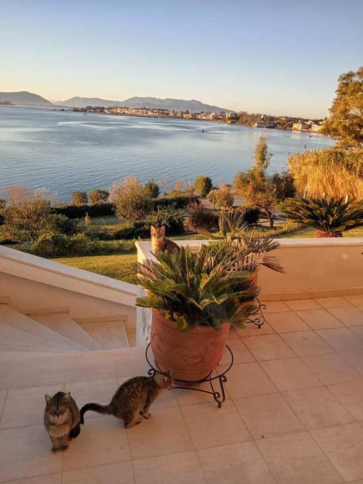 Harmony Seafront Apartment en Preveza