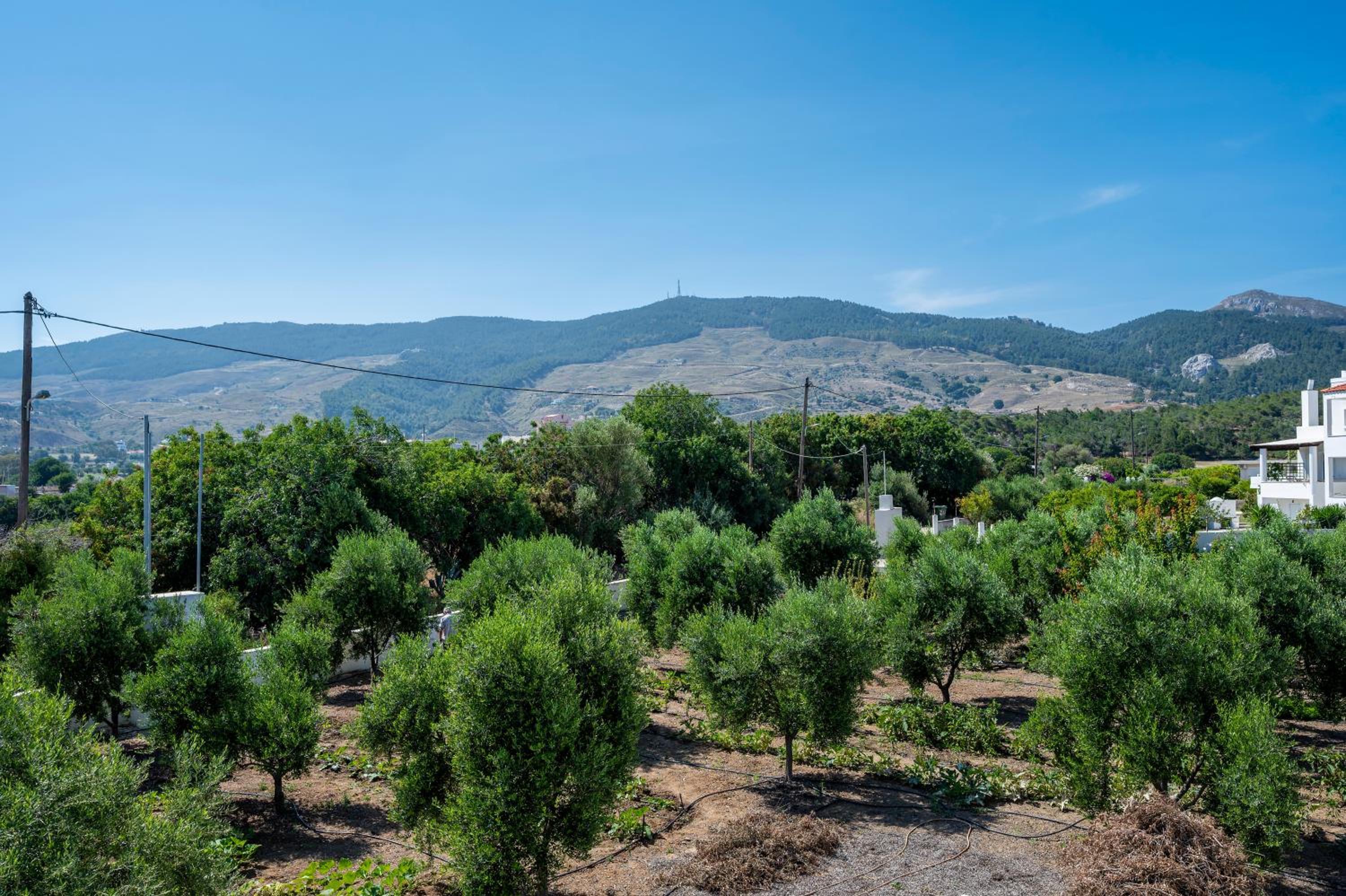 Olive Green Haven-3BR-Private Parking-Balcony