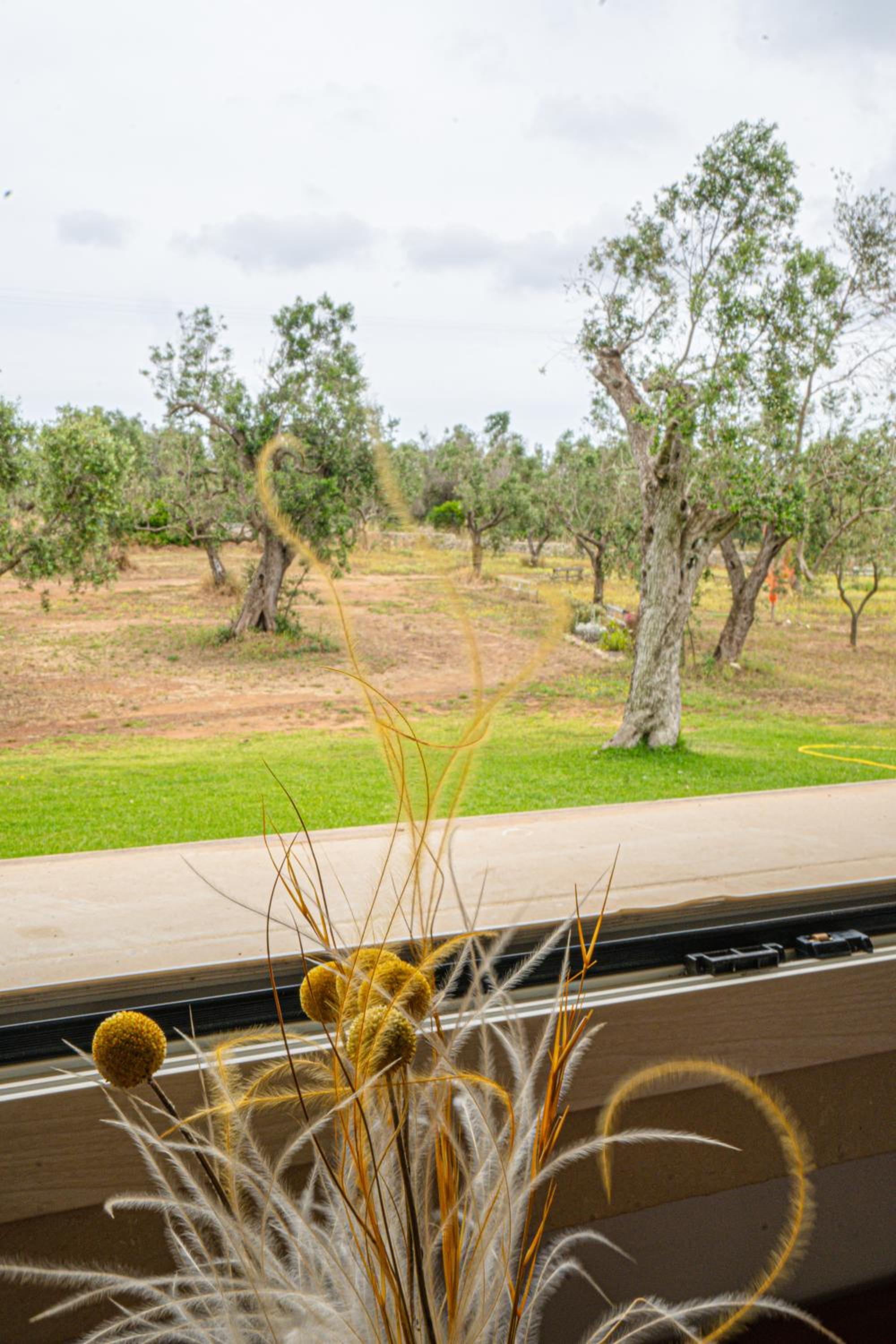 Agriturismo Tenuta Calitre