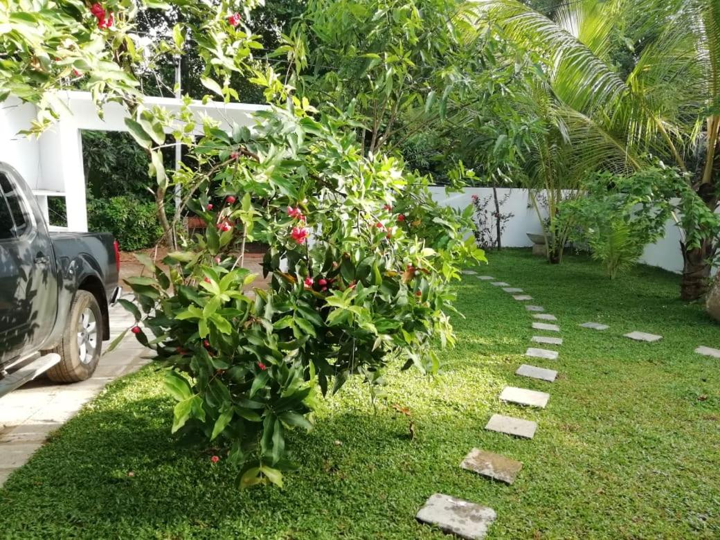 Nature Green Villa