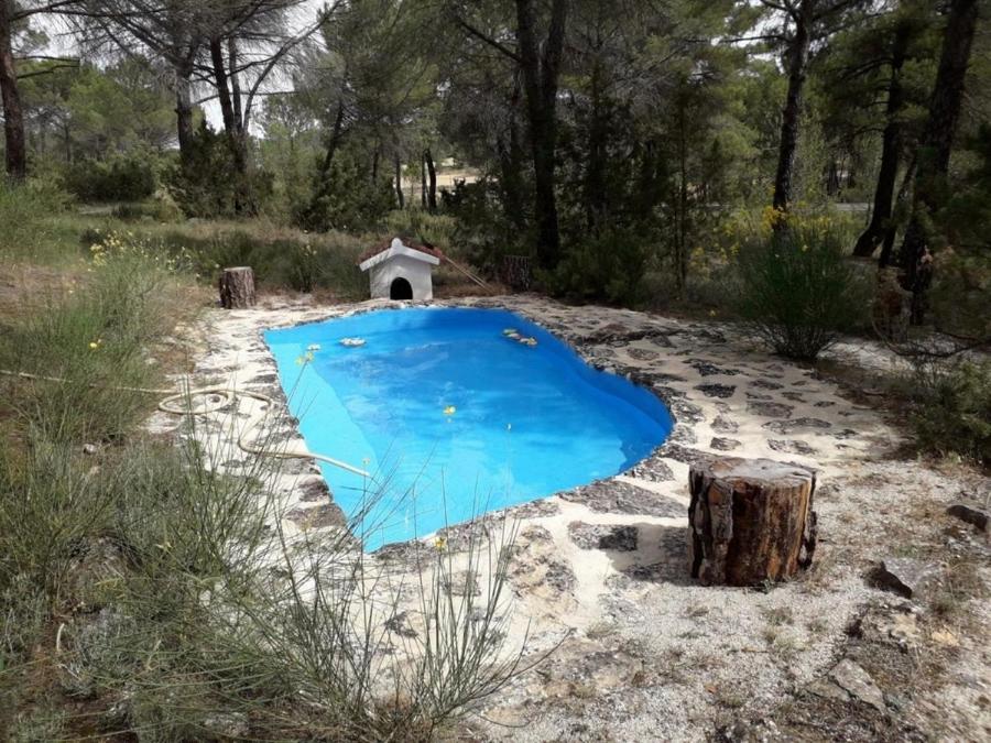 El Estudio