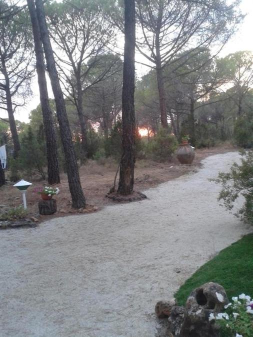 El Estudio