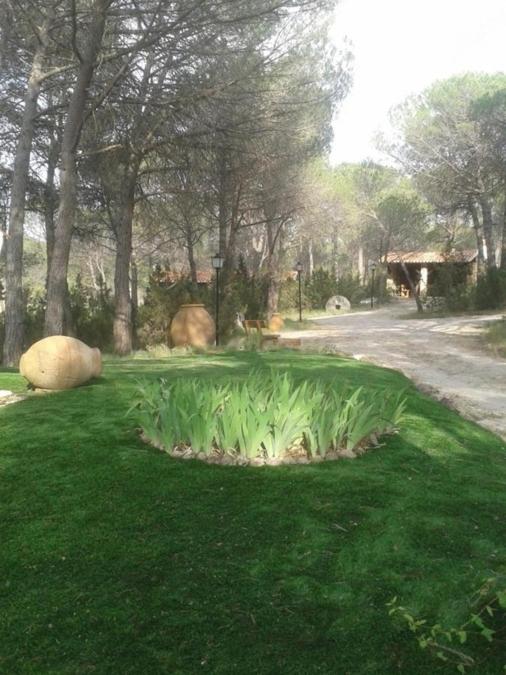 El Estudio