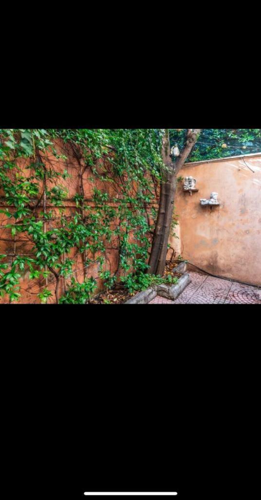 Olimpico's apartment