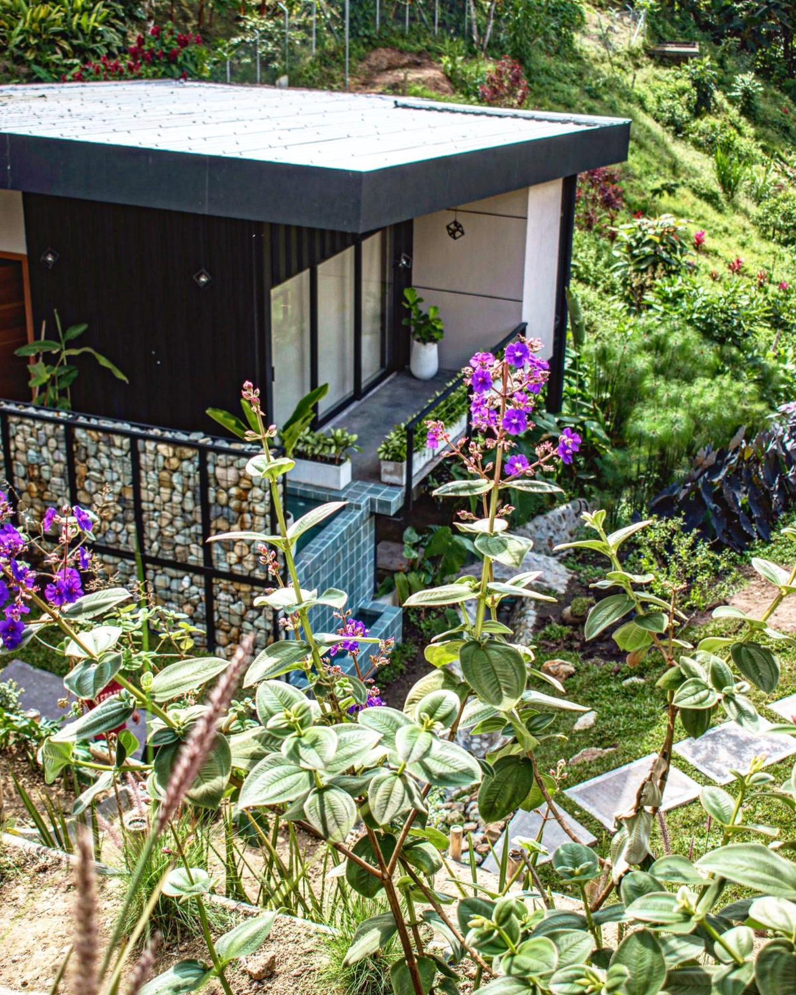 Primitivo Quindío