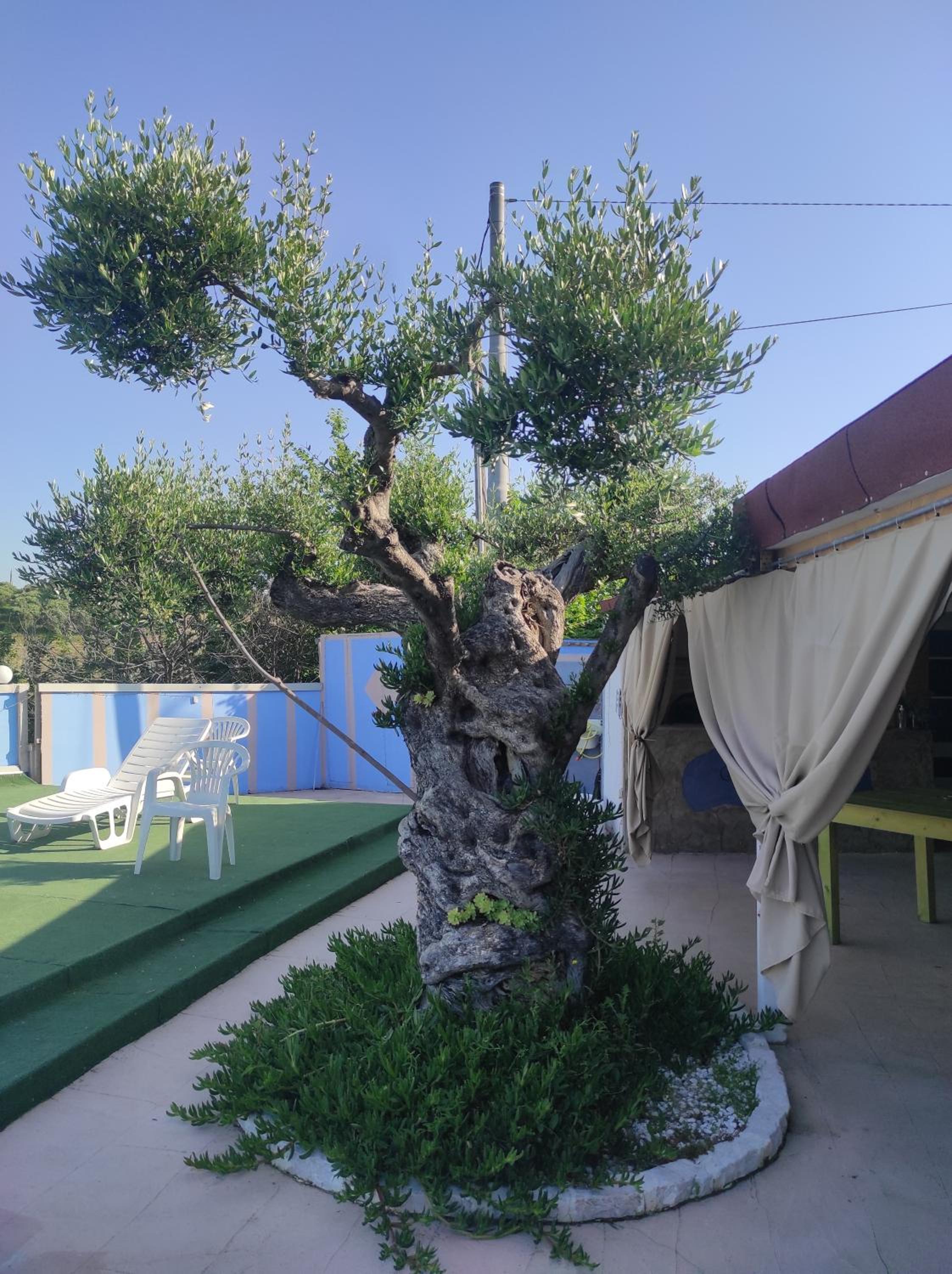 B&B Gli amici del tubarello view 4