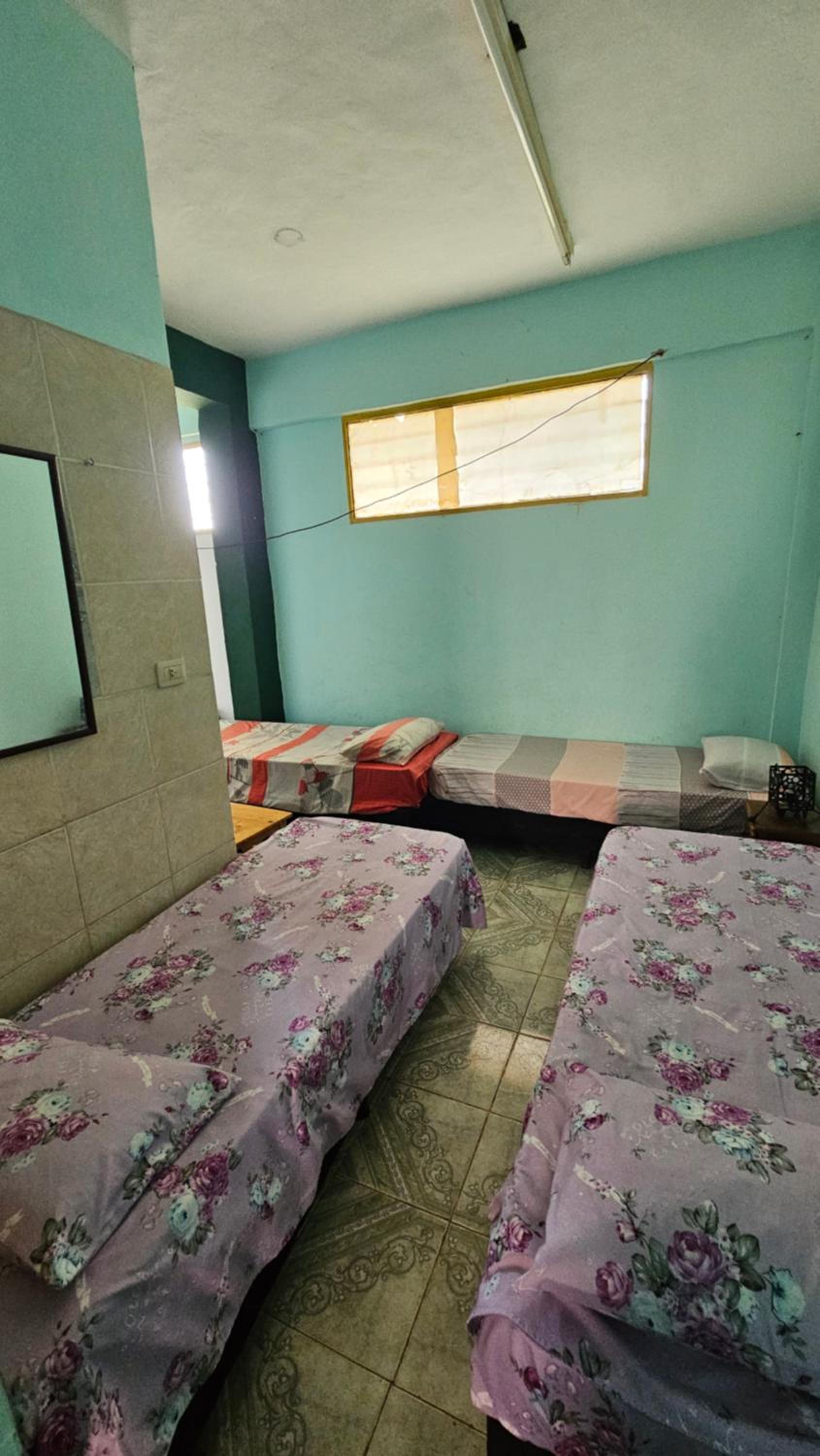Departamentos Chow Chow