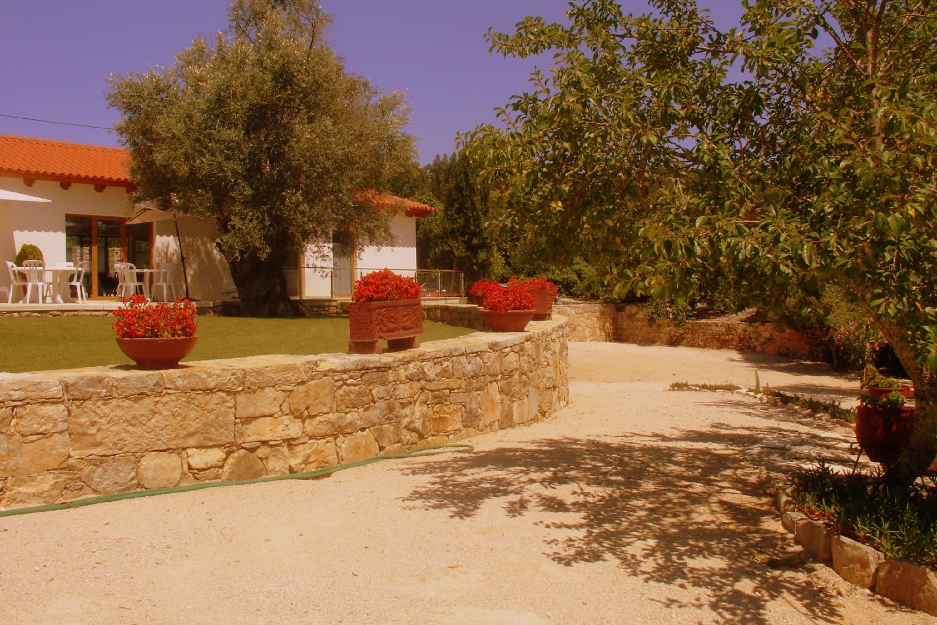 Photo 49