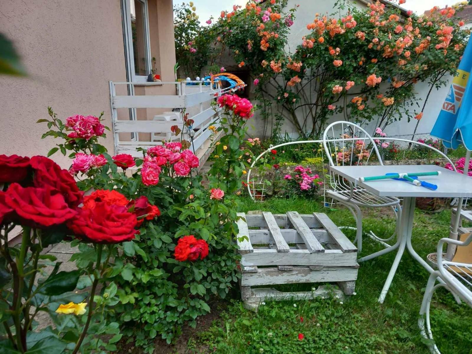 Apartmani Pavlov
