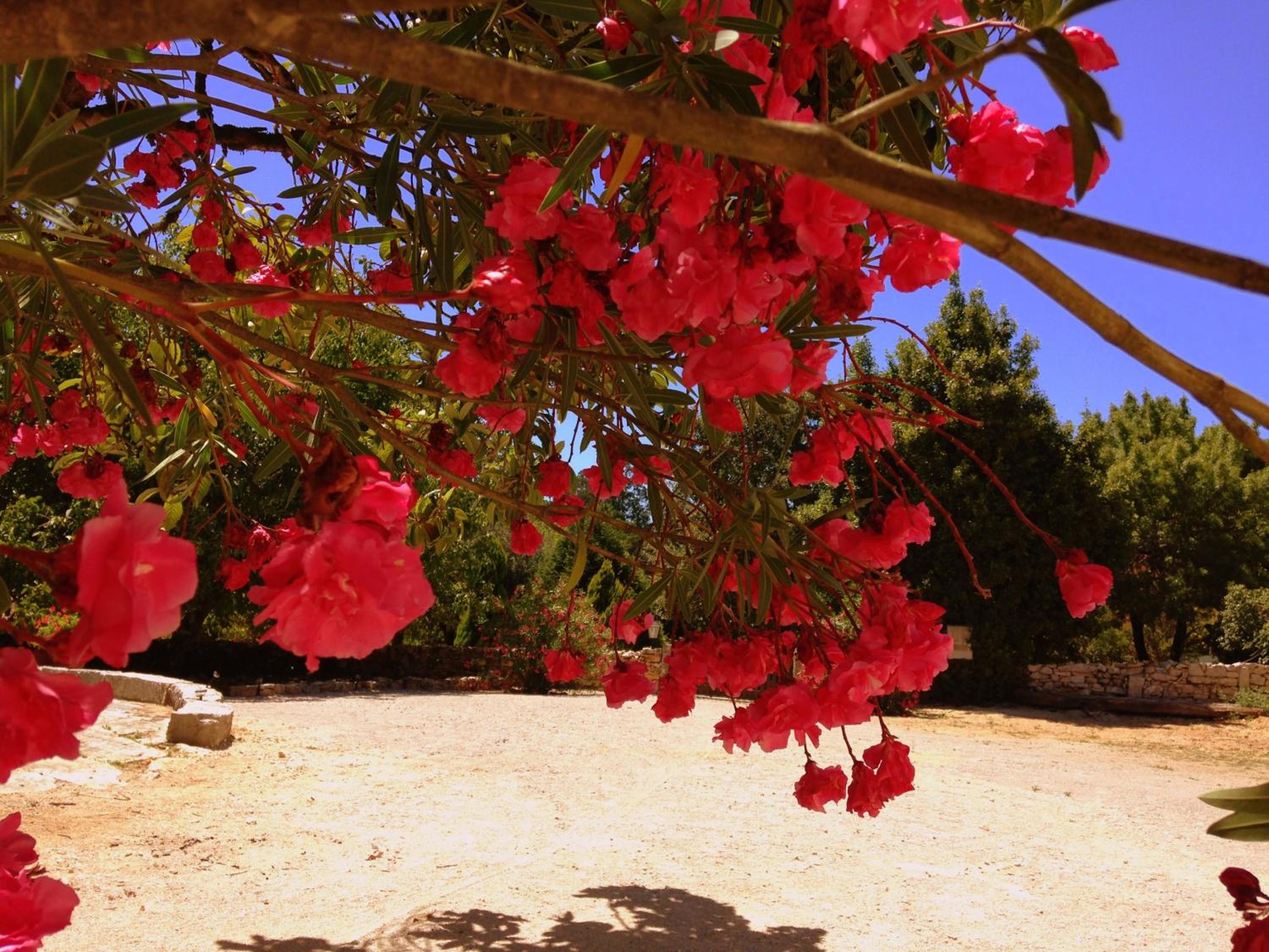 Otium Country House view 4