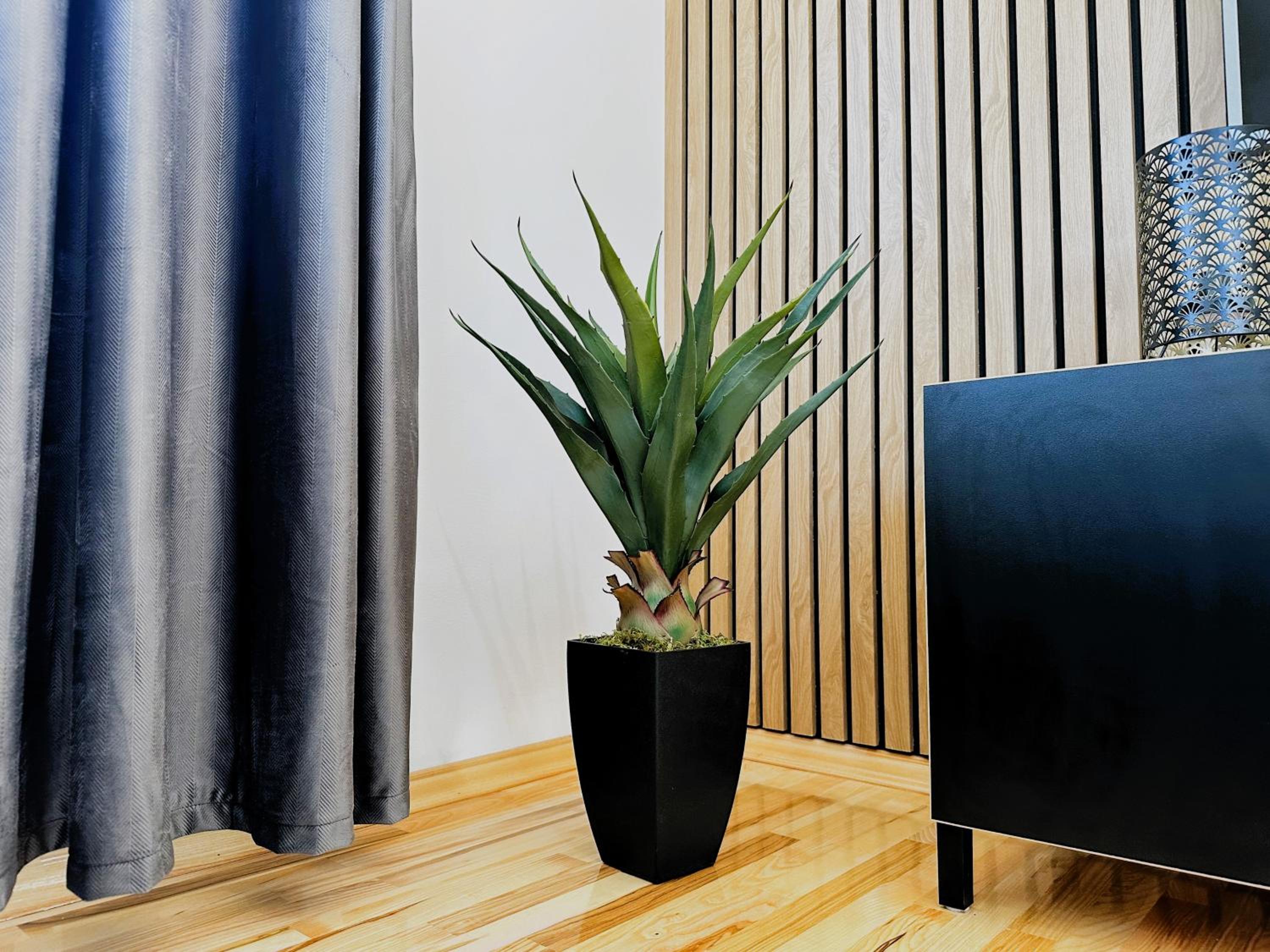 Modern and spacious apartment Helena near the beach