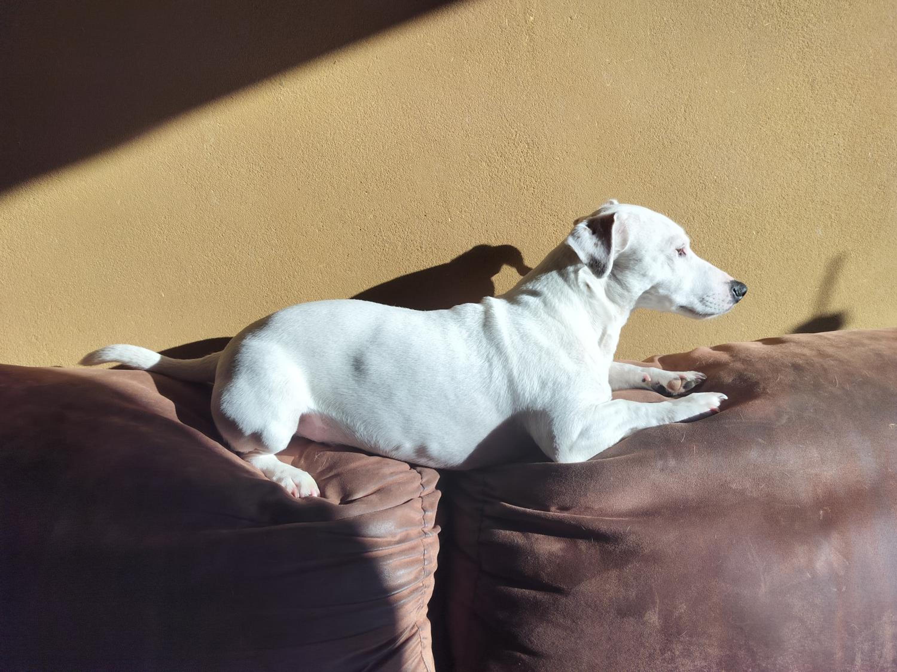 Gee is Sharing her home