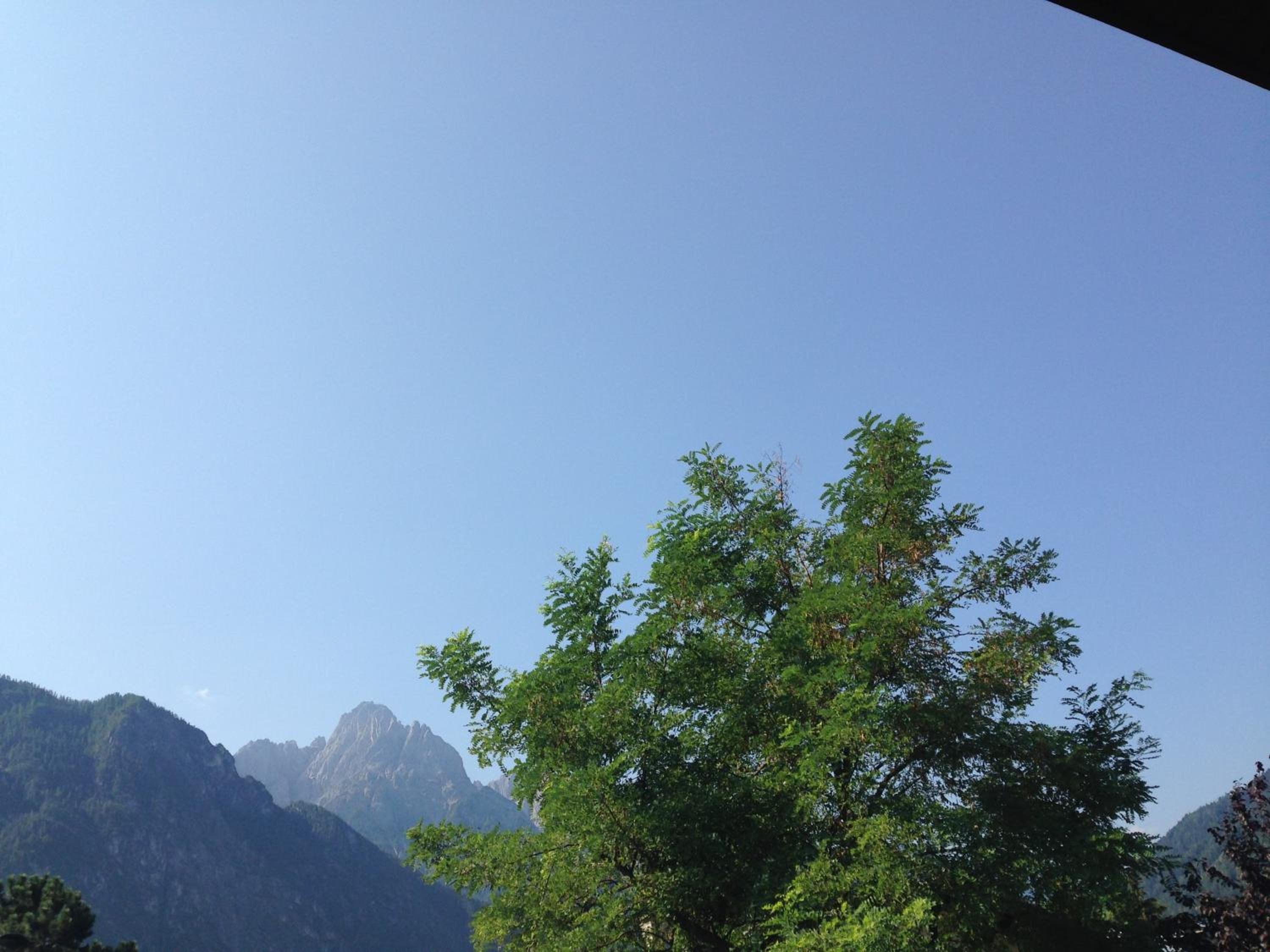 Photo 57