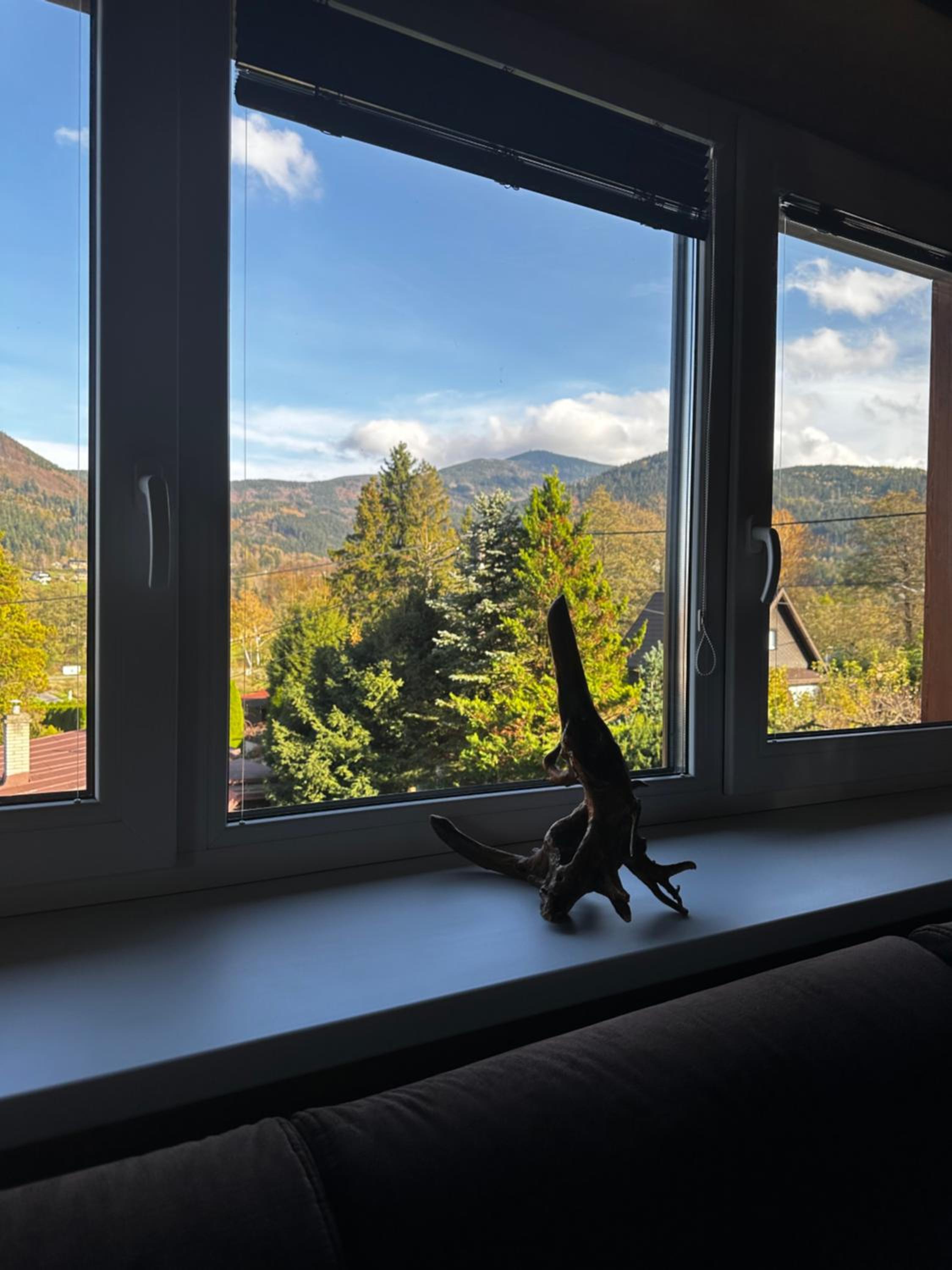 Ostravice Apartment