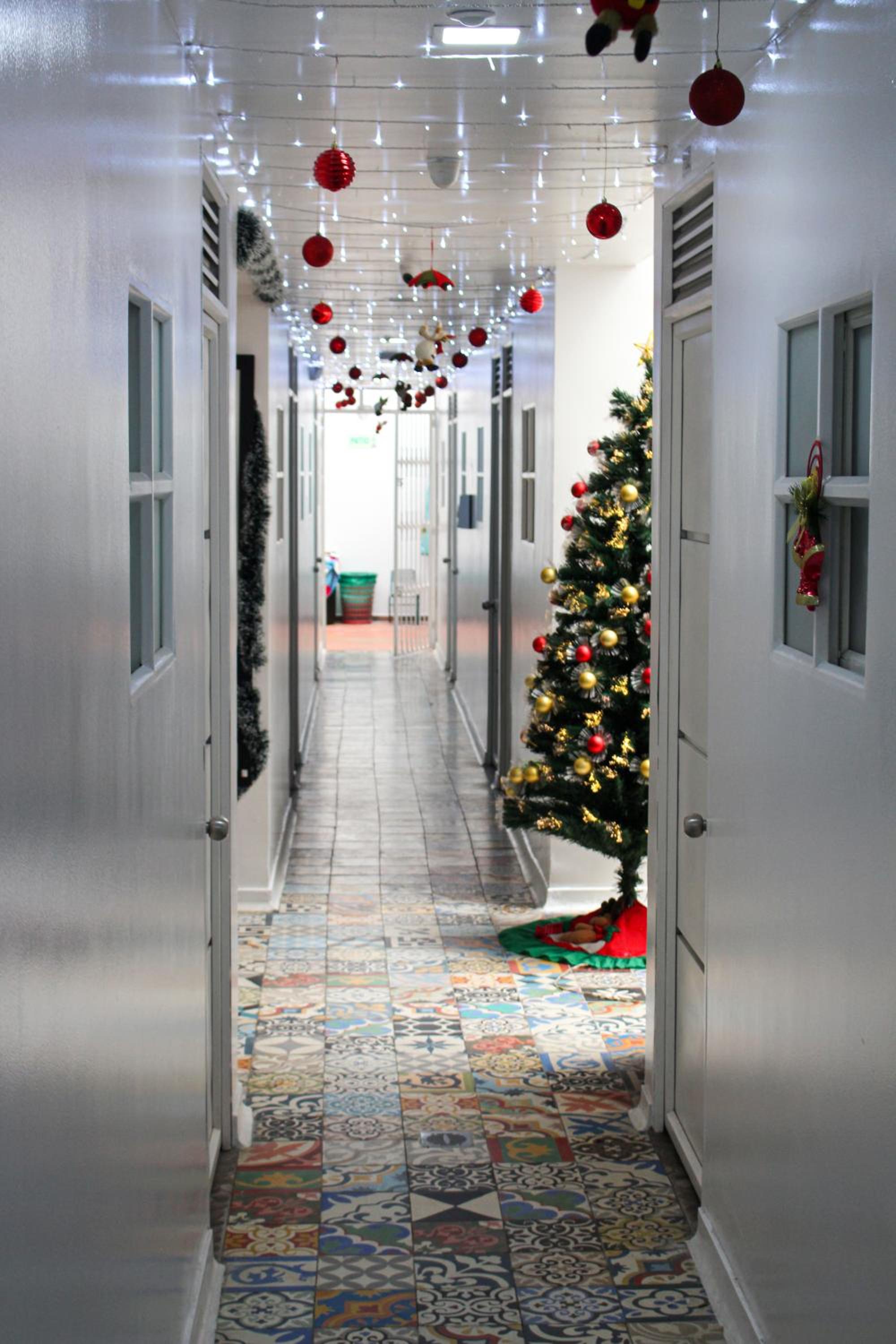 Alameda Hostel