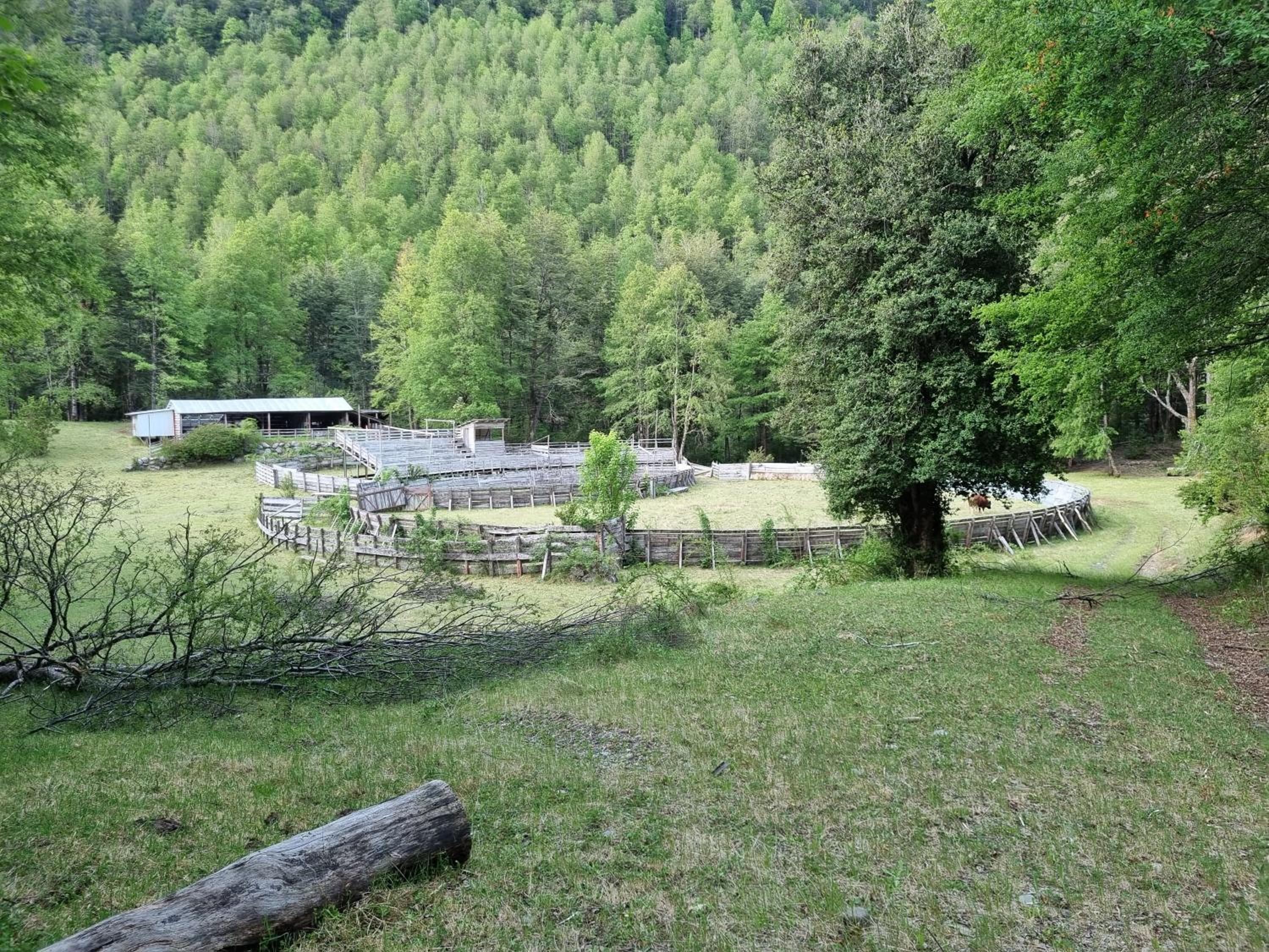 Cumbres de Huife Lodge