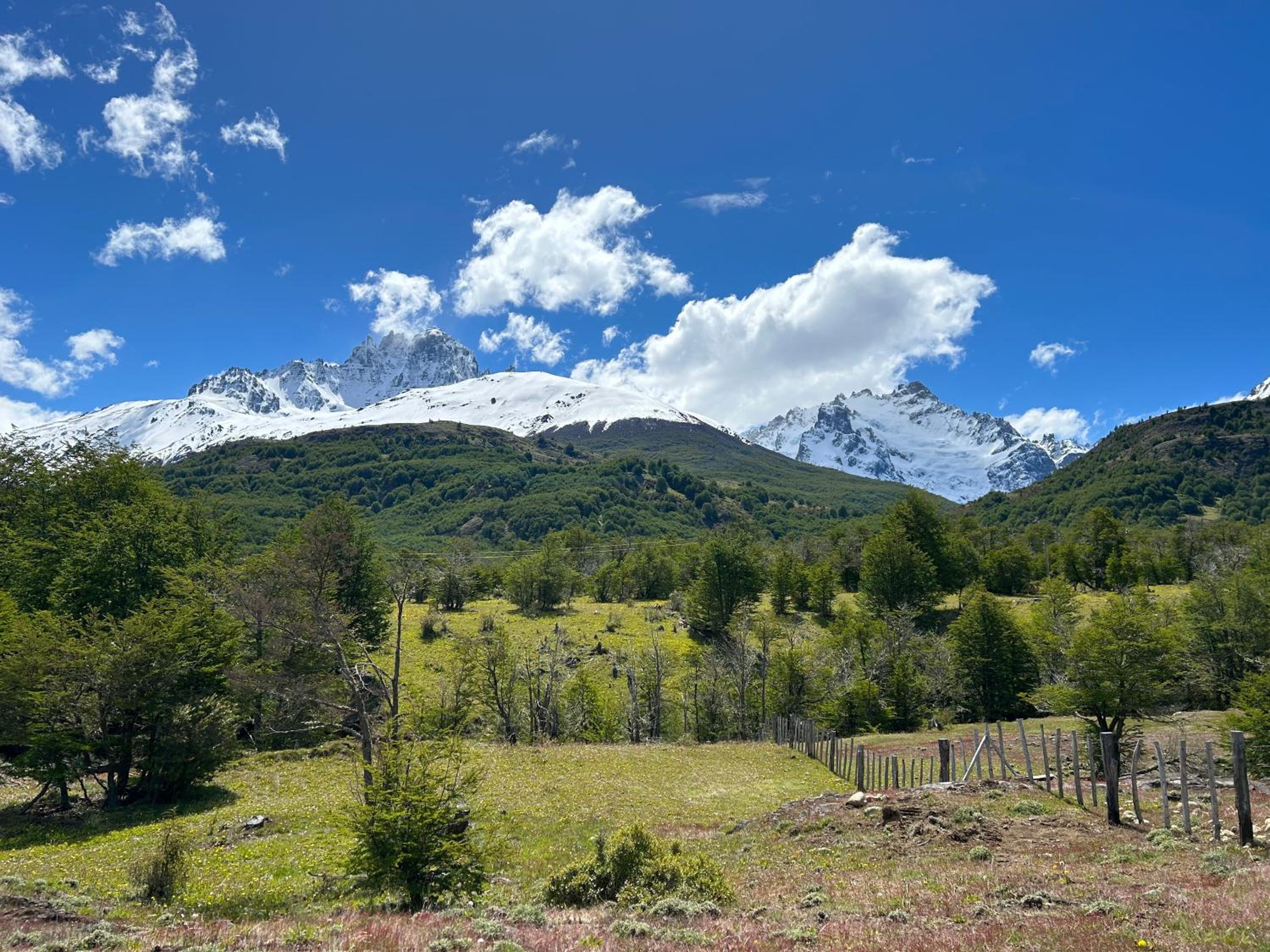 QUELEN PATAGONIA