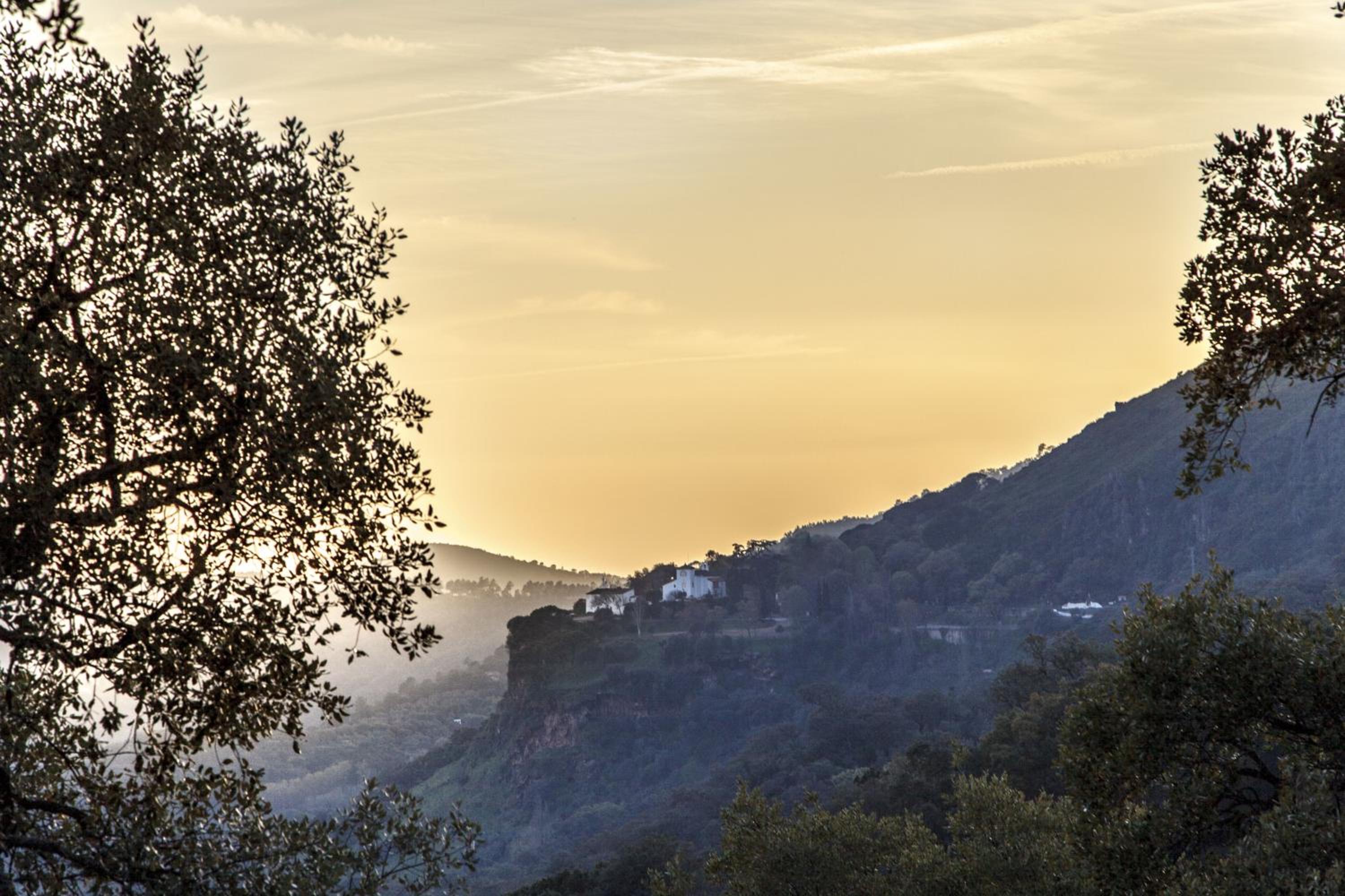 Finca La Fronda