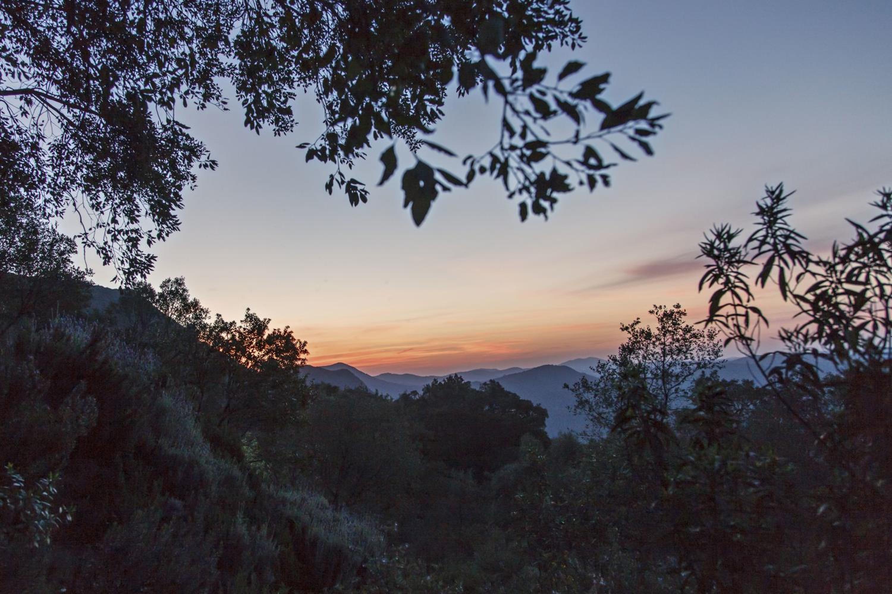 Finca La Fronda