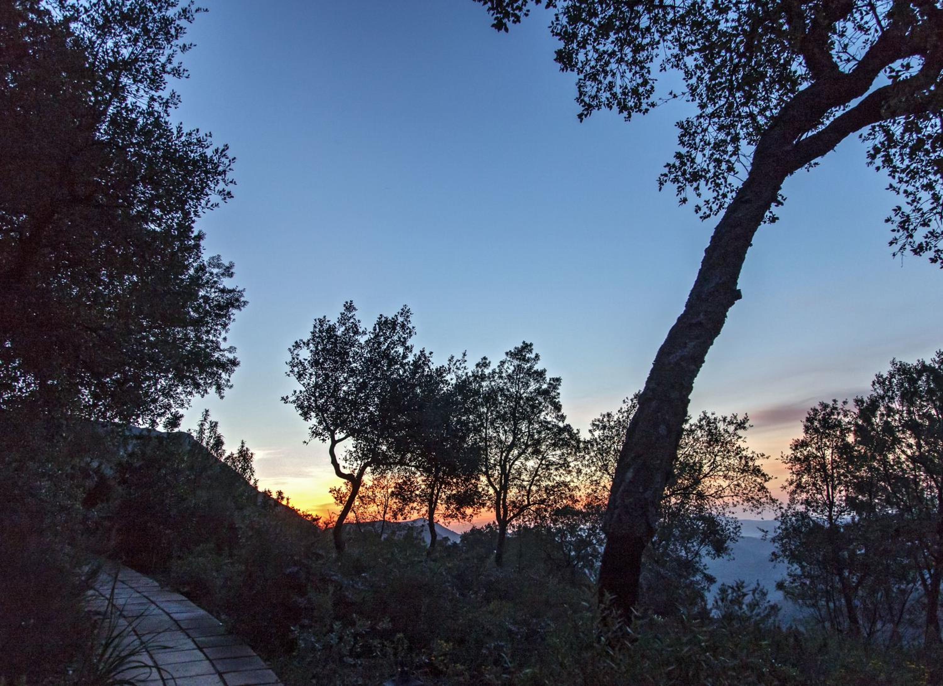 Finca La Fronda
