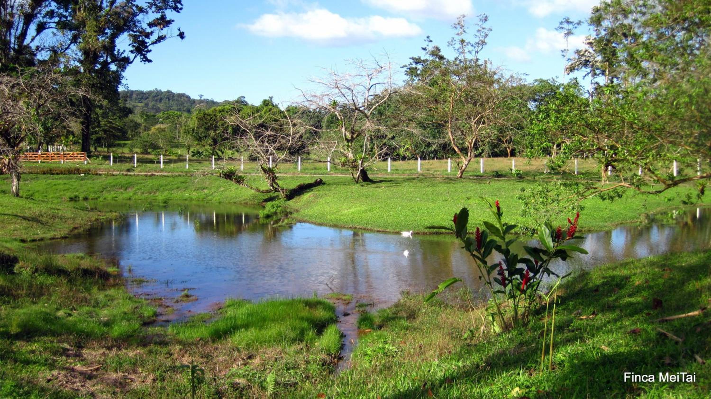 Mei Tai Cacao Lodge