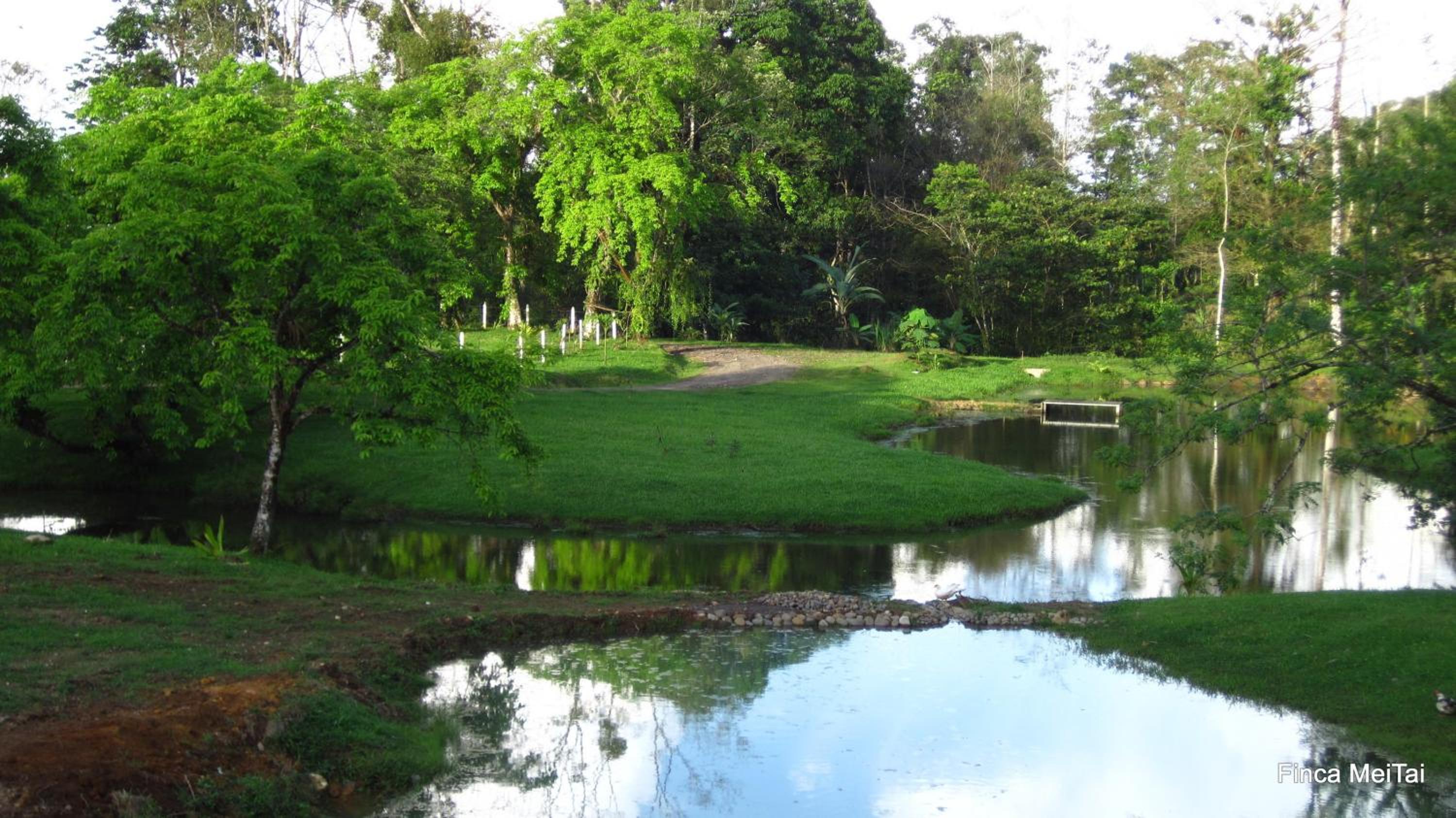 Mei Tai Cacao Lodge