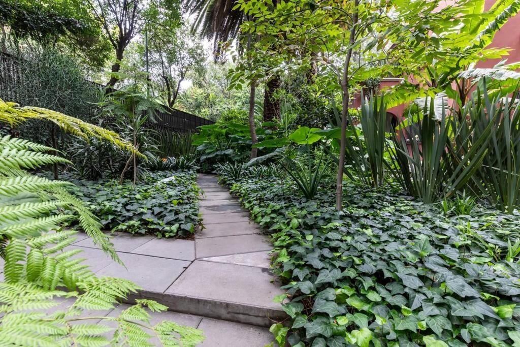 Luxury Apartment in La Condesa!