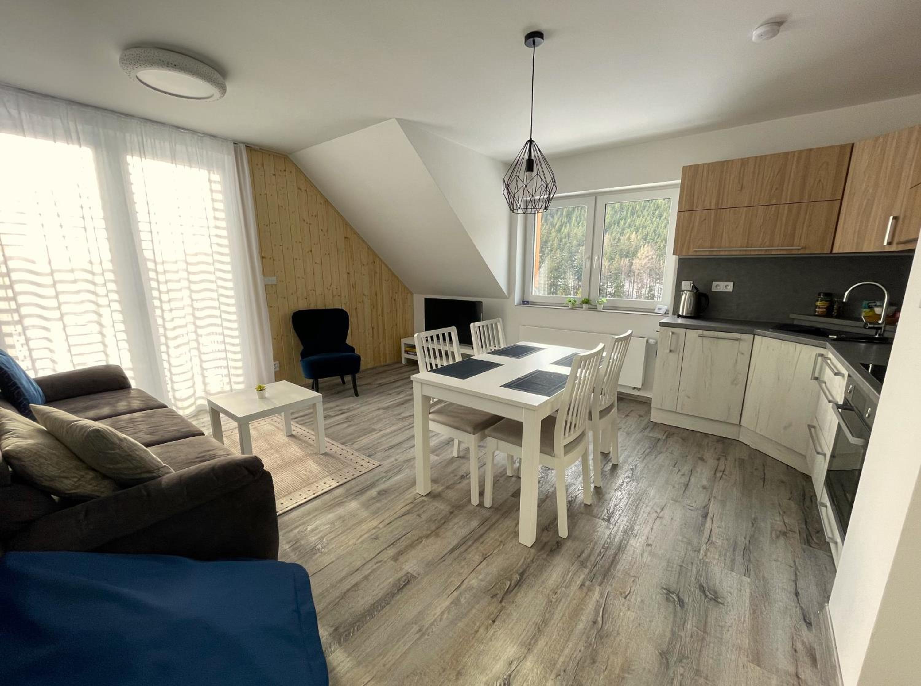 Apartmán Pod Mamutem view 4