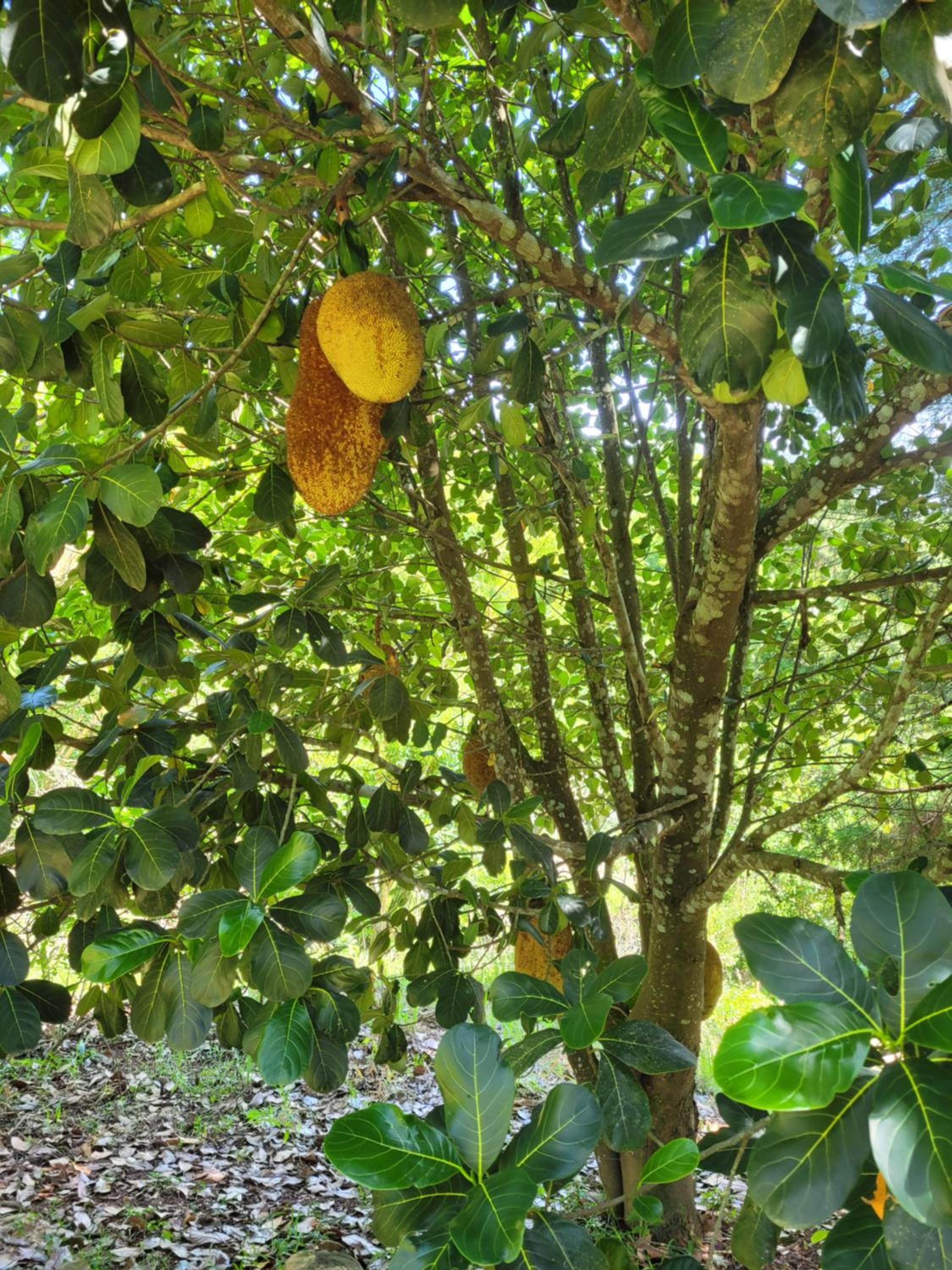 Casa aconchegante em lugar lindo e cheio de Paz