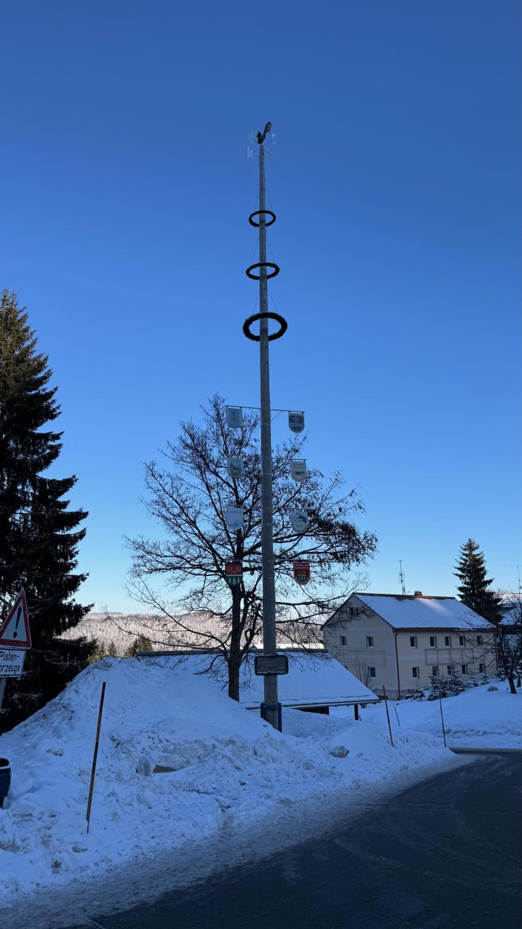 Mitterdorf Almberg x29 - Property Image 7