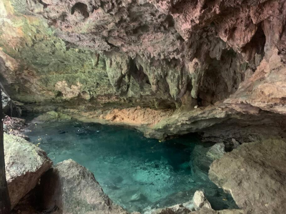 Casa de la Selva-Jungle Getaway with cenotes view 3