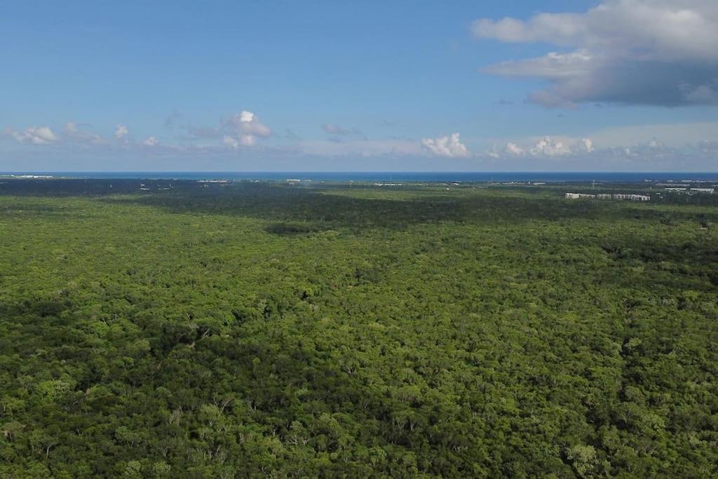 Palapa de la Selva with Cenotes view 2