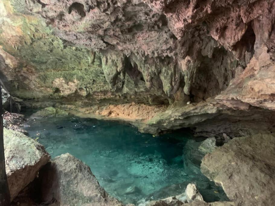Palapa de la Selva with Cenotes view 4