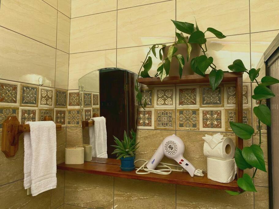 Peace Garden Apartment