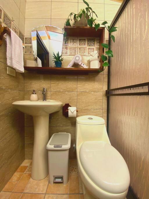 Peace Garden Apartment