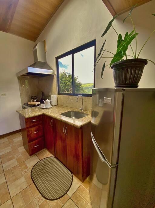 Peace Garden Apartment