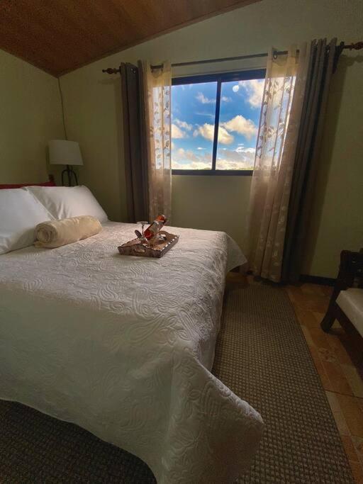 Peace Garden Apartment