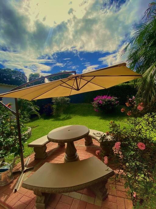 Peace Garden Apartment