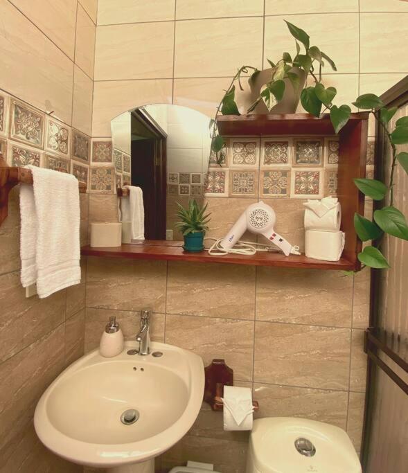 Peace Garden Apartment