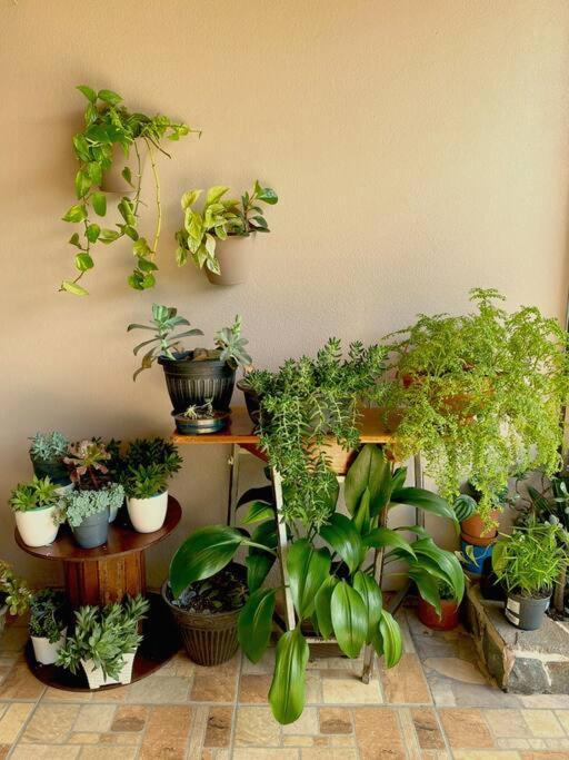 Peace Garden Apartment
