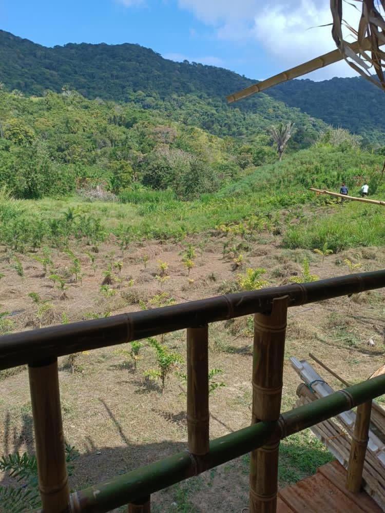 Freeland Eco Hostel