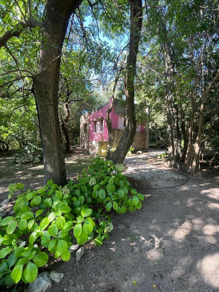 Cabañas BRUTTIUM