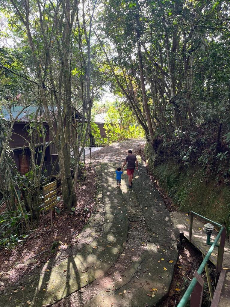 Cabañas el Bosque view 5