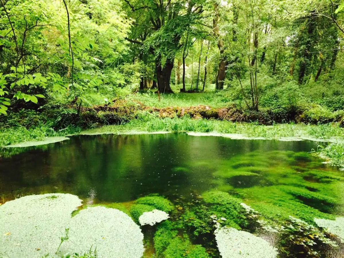 Galway Vacations - Cregg Castle - Property Image 3
