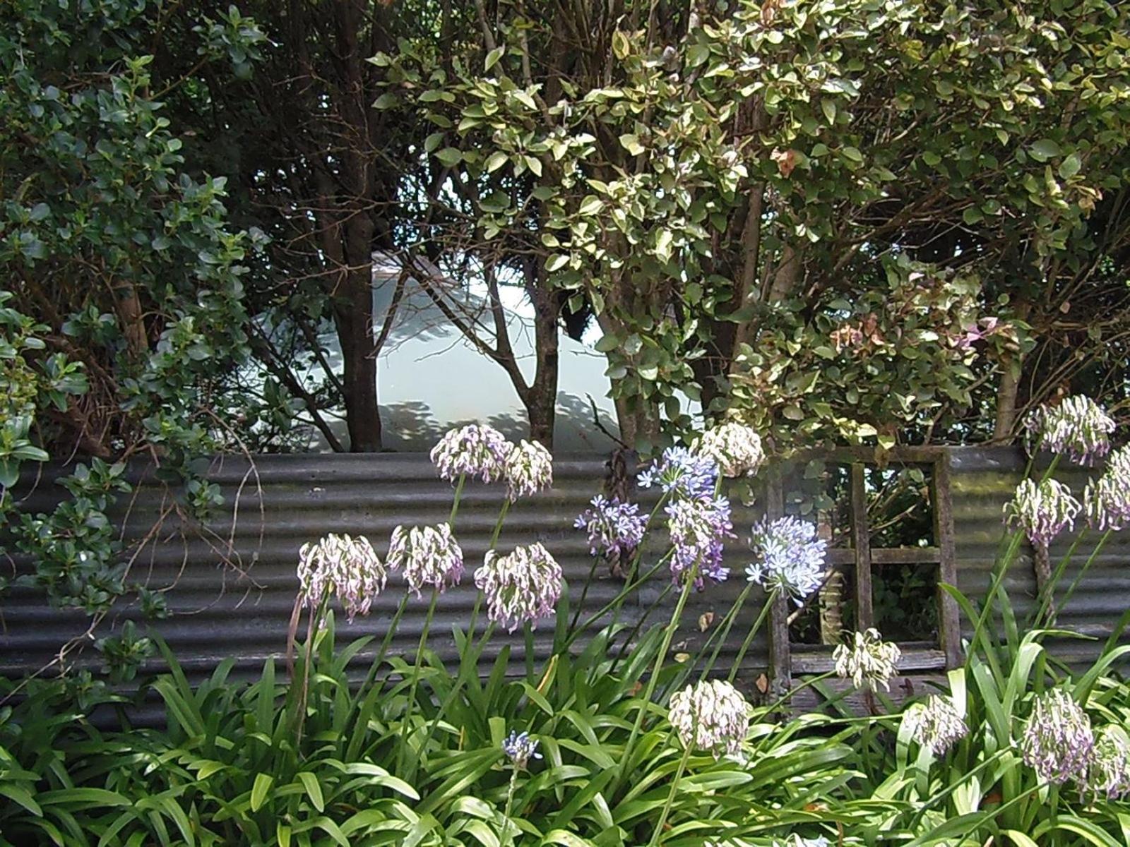 Nikau Sanctuary