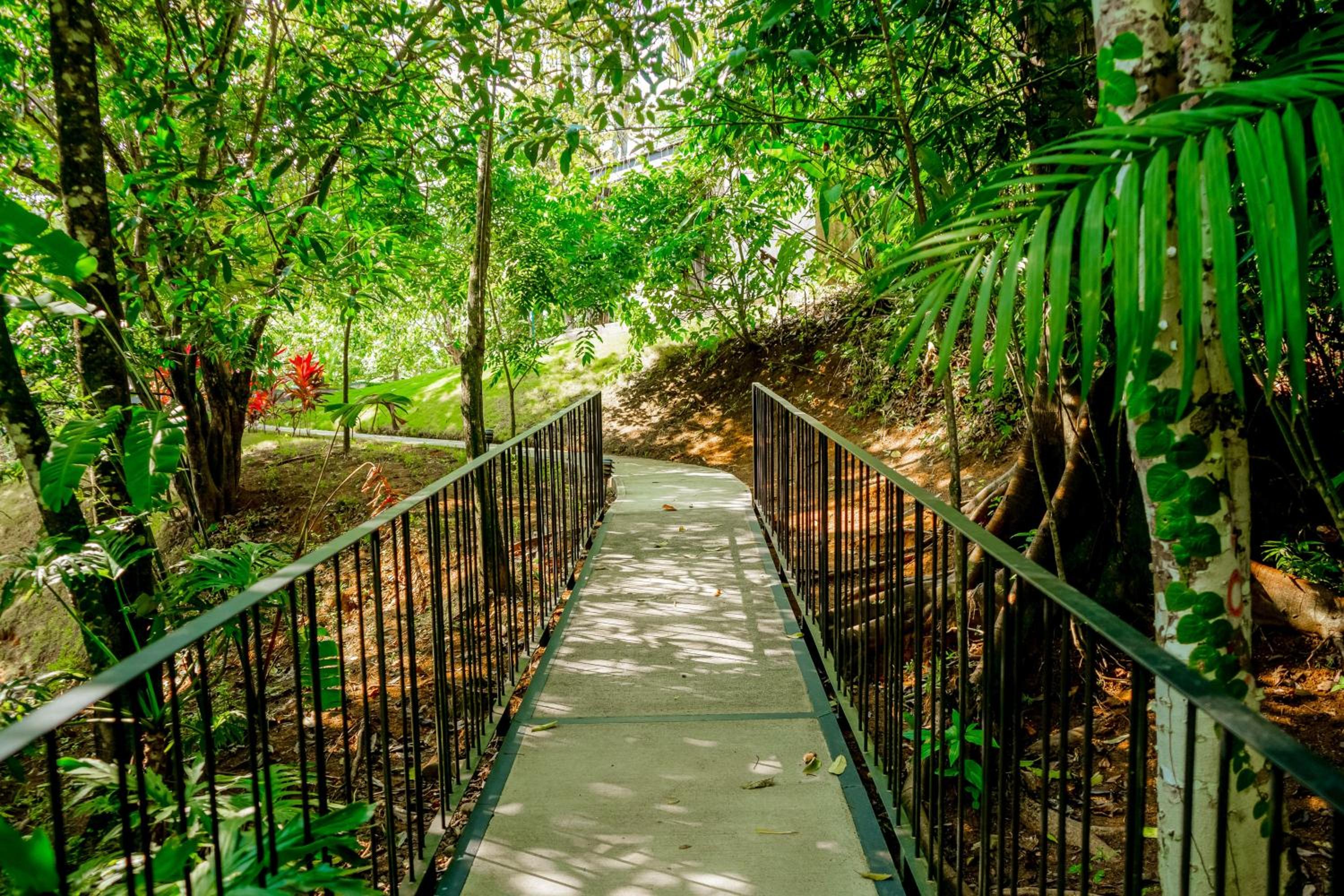 Rainforest Zen @ Nautilus B25