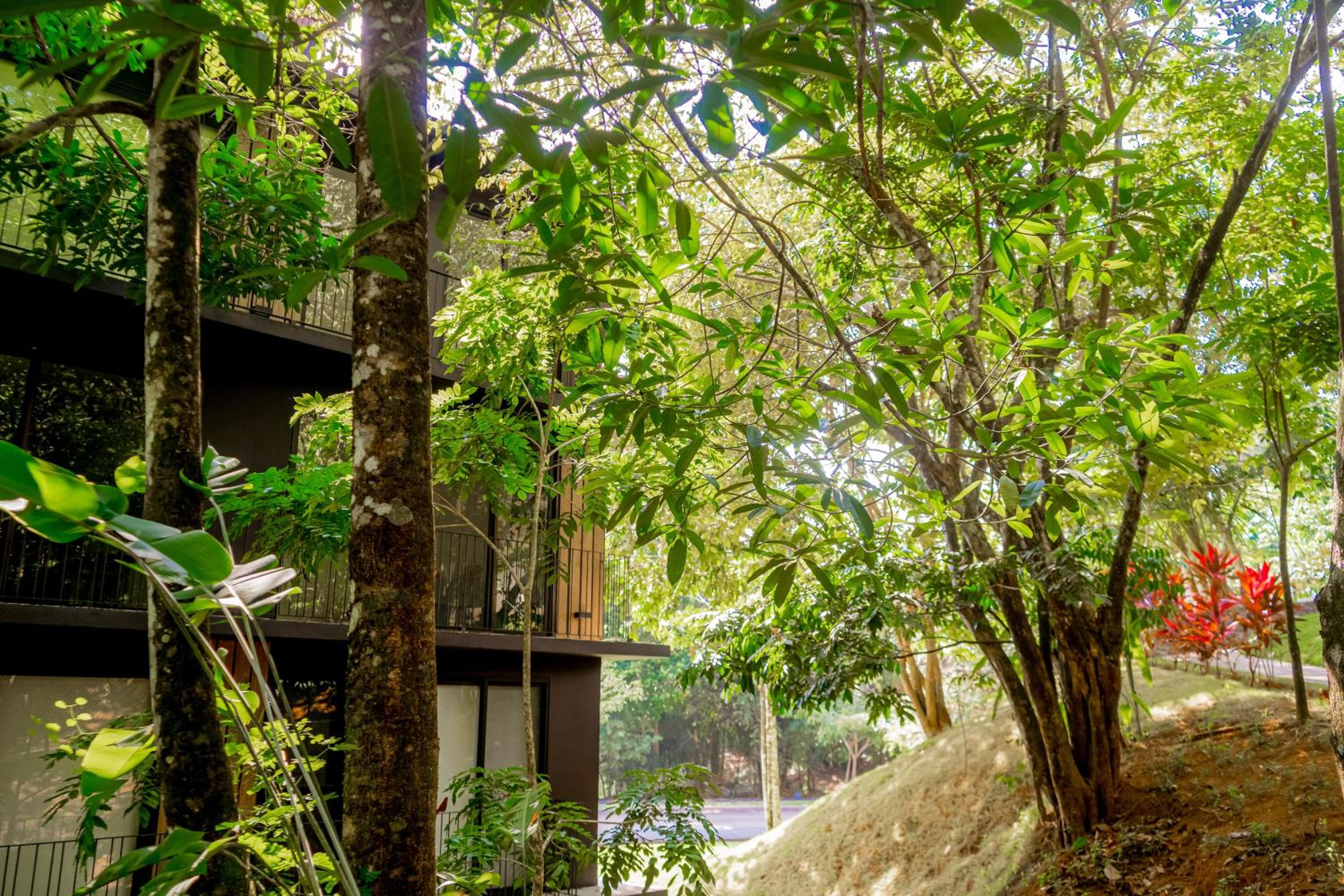 Rainforest Zen @ Nautilus B25