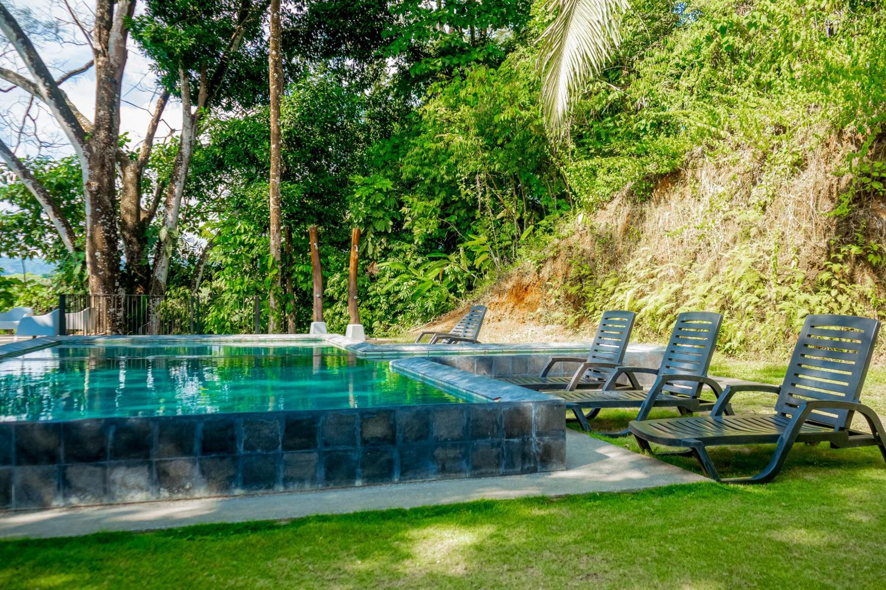 Rainforest Zen @ Nautilus B25
