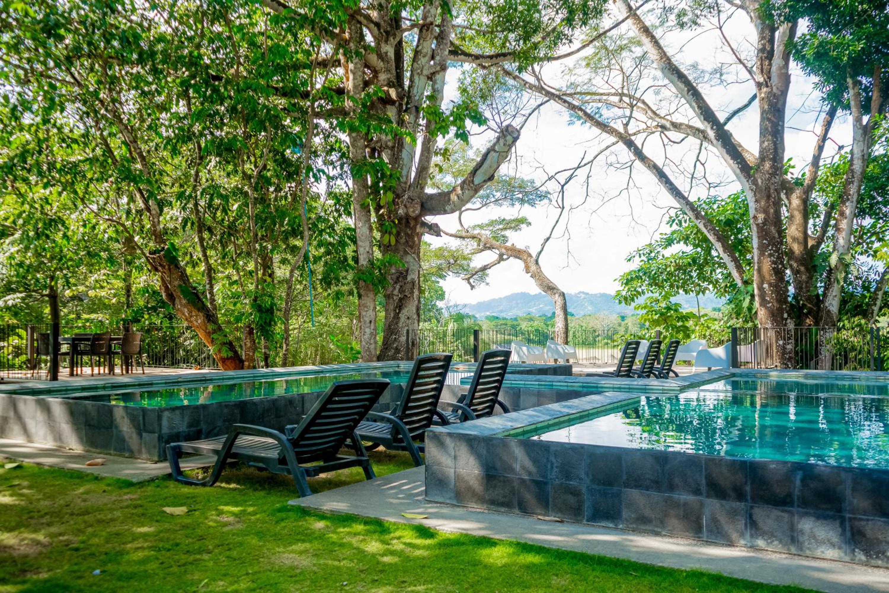 Rainforest Zen @ Nautilus B25